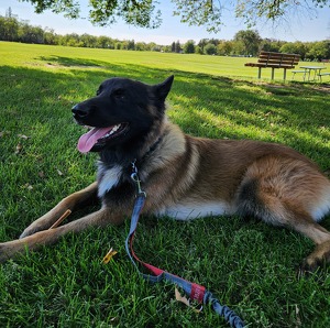 Fundraising Page: Kristine Cruz